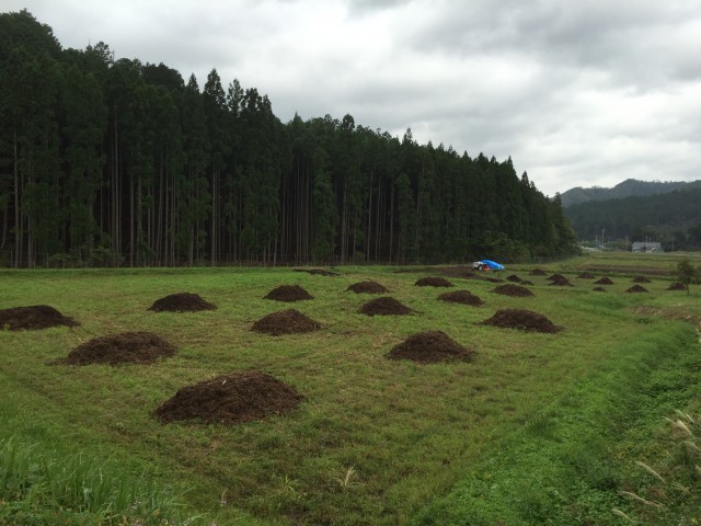 農地の見学に行ってきました